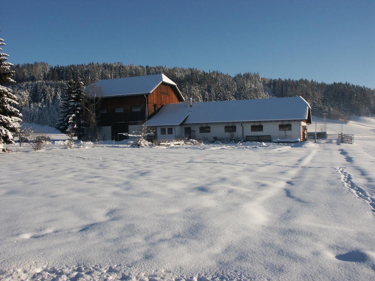 Bio Bauernhof Schoberhof Villa Sankt Andra im Lungau Exterior photo